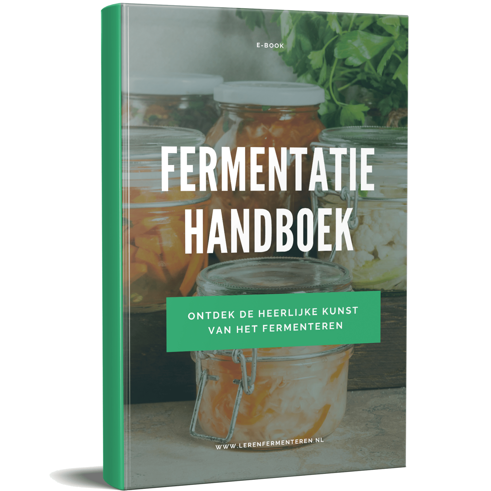 handboek fermenteren