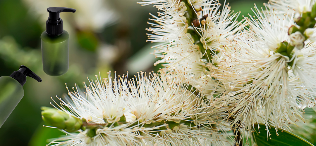 Tea Tree Olie: De Alles in 1 Oplossing Voor Huidverzorging, Schoonmaken en Gezondheid