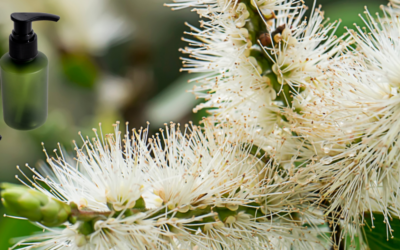 Tea Tree Olie: De Alles in 1 Oplossing Voor Huidverzorging, Schoonmaken en Gezondheid