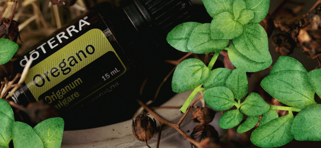 Oregano etherische olie: een aromatische toevoeging aan je gezondheidsroutine