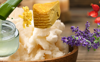 Hydraterende dagcrème met shea butter voor de droge huid