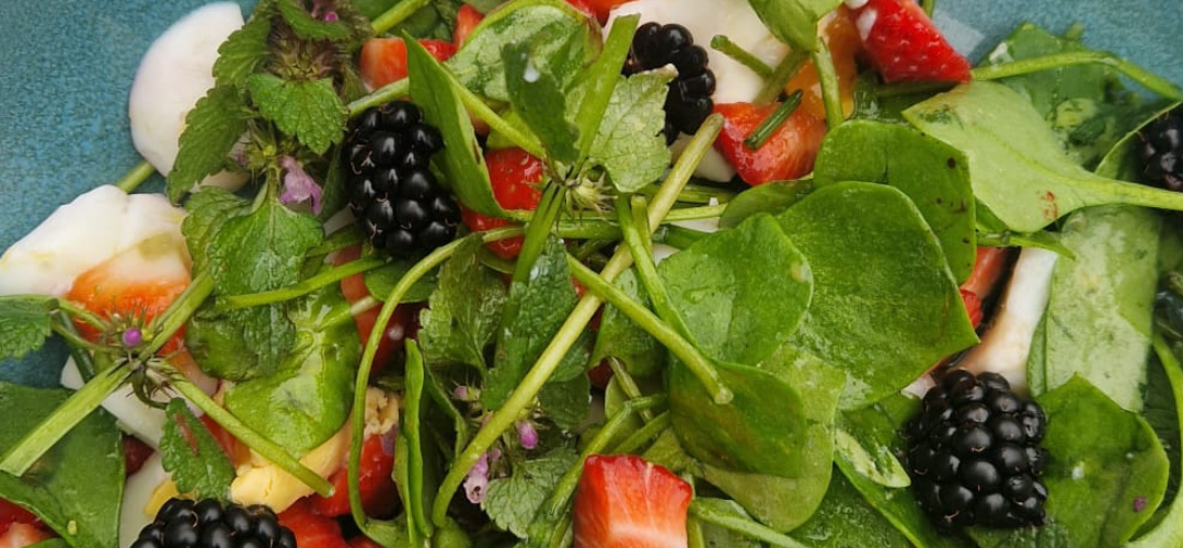 Lente salade met winterpostelein, paarse dovennetel en bessen