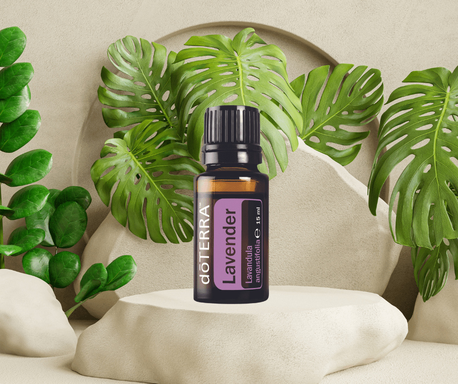 Lavendel aroma touch doterra massage