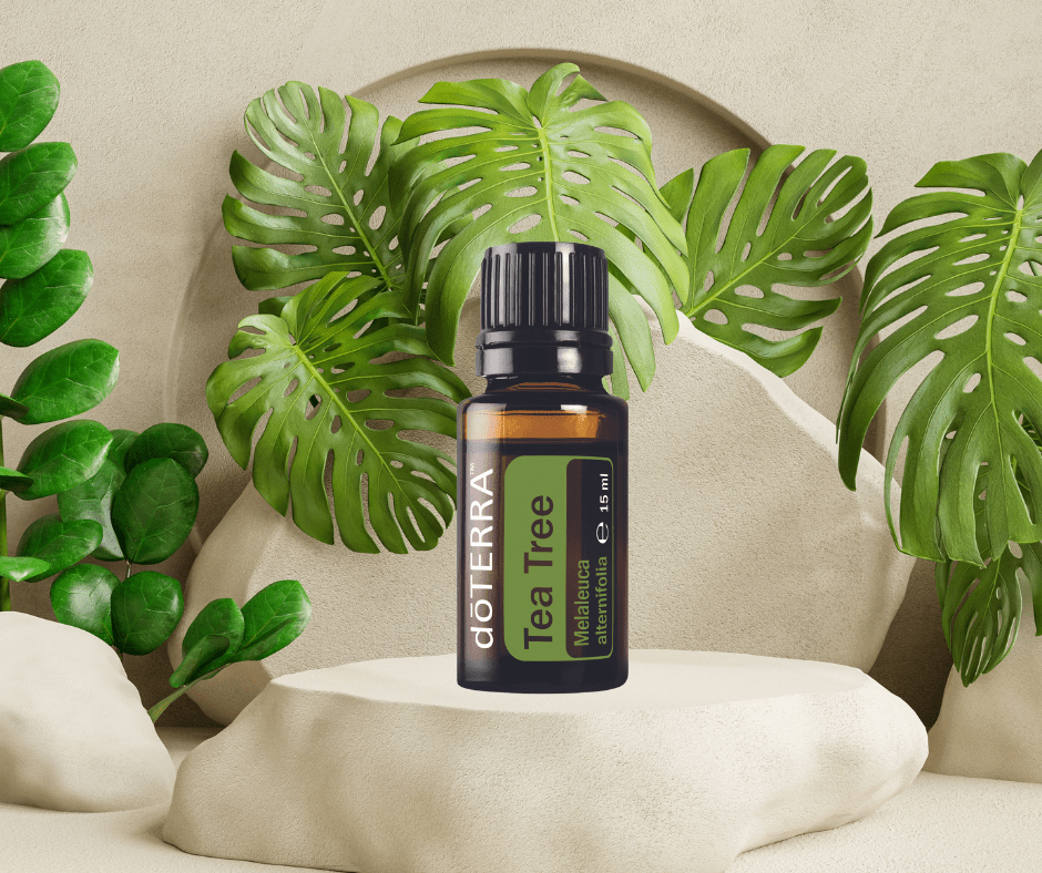 Tea tree aroma touch doterra massage