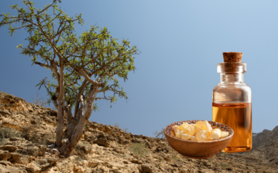 De Magie van Frankincense (Boswellia Frereana) Etherische Olie