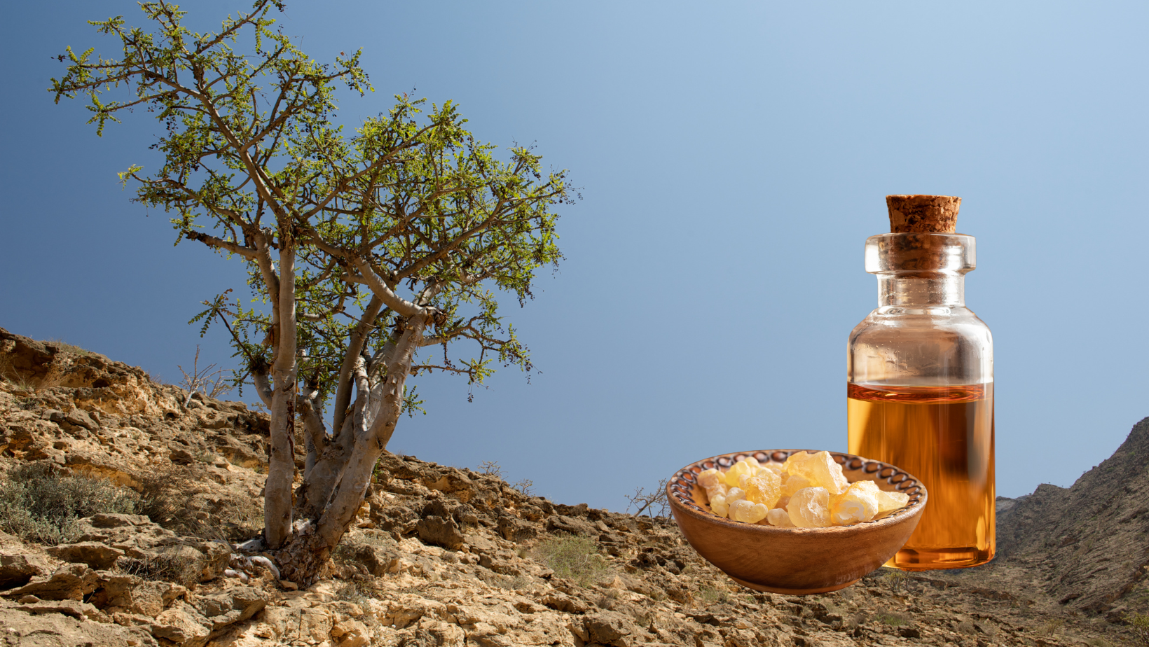 Toepassingen en meer met de Frankincense olie